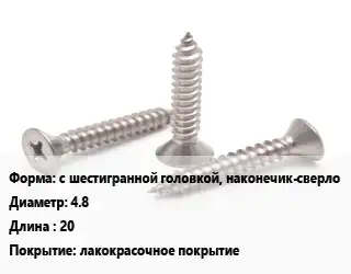 Саморез с шестигранной головкой, наконечик-сверло D=4.8 L=20 лакокрасочное покрытие